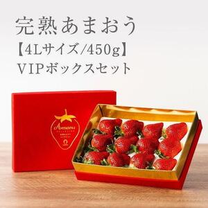 【出荷期間は1月～4月末】★希少4Lサイズ 450g ★赤のVIPボックスに入った宝石のような「完熟あまおう」！