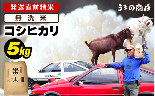 【令和8年産】 コシヒカリ 5kg【無洗米】 [m25-a007_02]