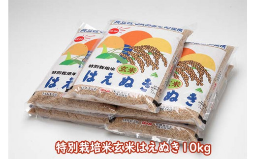 
特別栽培米玄米はえぬき 10kg

