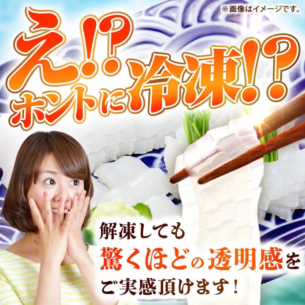 アオリイカ（刺身用） 500g [JCC023] イカ