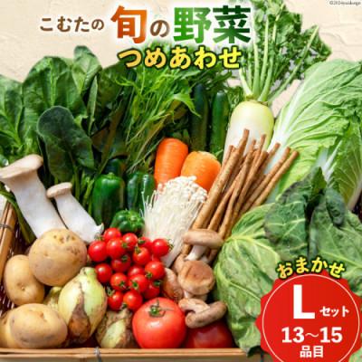 ふるさと納税 島原市 【10〜5月限定出荷】こむたの旬の野菜つめあわせ(13〜15品目)おまかせLセット