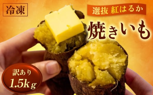 訳あり 冷凍 焼き芋 1.5kg 紅はるか 数量限定 早期予約 選別紅はるか 焼きいも 高知県 須崎市 冷凍焼きいも 芋 野菜 さつまいも おやつ スイーツ デザート ふるさと納税 人気 ふるさと納税焼き芋 TJ014