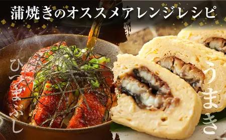 ★ふるなび限定★ 福岡県産 うなぎ 鰻 3尾  計330g