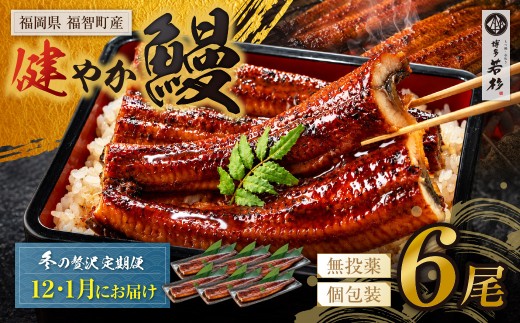 AA61-324 健やか鰻 国産うなぎ蒲焼 (無頭) 6尾 (計930g以上) ★定期便・冬発送★ 九州産 国産鰻 うなぎ ウナギ 鰻 人気 おすすめ ひつまぶし 鰻 蒲焼き タレ 山椒 ランキング 鰻 冷凍 うな重 ひつまぶし うなぎ 福智町 鰻蒲焼き うな丼 丑の日 定期
