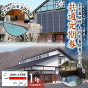 【ふるさと納税】水沢温泉館 大井沢温泉館 共通定期券（1年） FYN9-808