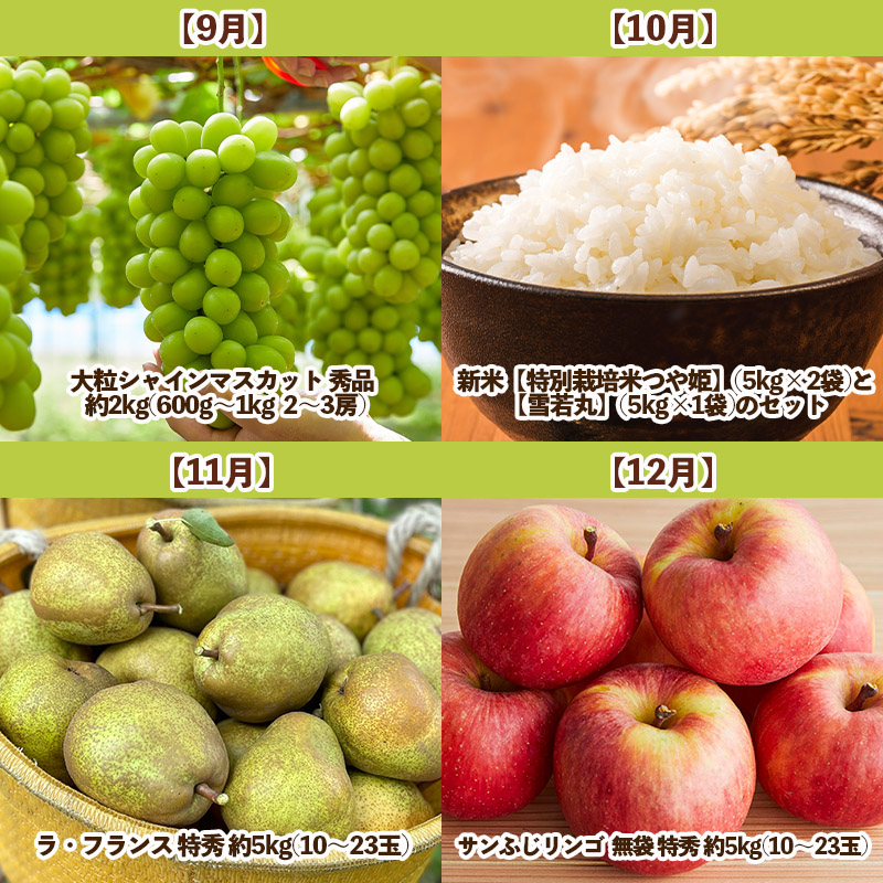 【定期便12回】夢の共演☆山形のおいしい物大集合　～ゆっ