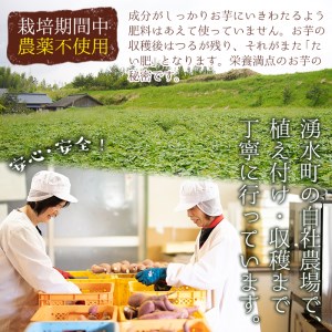 D01 《2024年1月以降に順次発送予定》鹿児島県産紅はるか使用の冷凍やきいも(3kg) 国産 九州産 サツマイモ さつま芋 紅春香 芋 焼き芋 やきいも焼きいも 野菜 スイーツ 冷凍 熟成【永野工