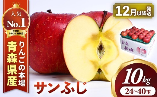 りんご【サンふじ】 約10kg（24～40玉）【2026年産・先行予約】★2026年12月下旬～2027年1月上旬頃発送予定★ 青森県三戸町産 りんご 林檎 フルーツ 果物 果実 青森 三戸 高級 贈答 ギフト プレゼント 産地直送 農家直送 青森県三戸町 AK-25-073