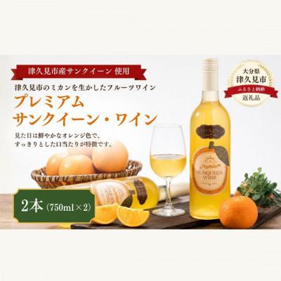 ふるさと納税 津久見市 【数量限定】プレミアムサンクイーンワイン(2本)〜つくみPremium SUNQUEEN WINE〜