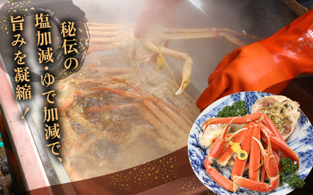 訳あり【年内12月発送】越前がに本場の越前町からお届け！浜茹で越前かに 中サイズ（生で600～800g） × 1杯  [e43-x009_12] カニ かに 越前がに 越前ズワイガニ 越前かに 越前カ