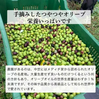 ふるさと納税 袋井市 人気NO.1 農家ができる最高品質のEVOO 2本　【5月中旬より発送】 |  | 03