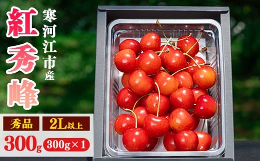
            【先行予約】令和8年産 さくらんぼ「 紅秀峰 」300g(300g×1パック) 秀品 2L以上 2026年産 山形県産 【2026年6月中旬頃～7月上旬頃発送予定】 ※配送不可 沖縄・離島 014-A-AF032
          
