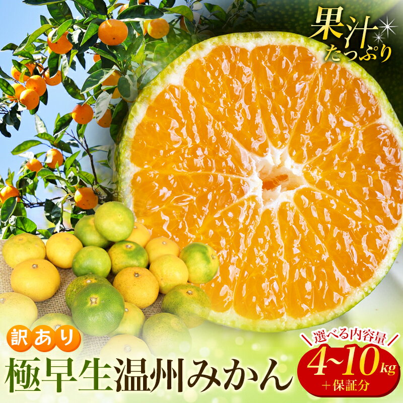 【ふるさと納税】 ＼選べる容量／ 訳あり みかん 極早生温州みかん 4kg 〜10kg＋傷み保証分 2S〜3L サイズおまかせ 【2026年9月下旬~10月中旬までに順次発送】 家庭用 ご家庭用 訳アリ わけあり ミカン 蜜柑 柑橘 果物 くだもの フルーツ 極早生 温州 夏みかん 送料無料