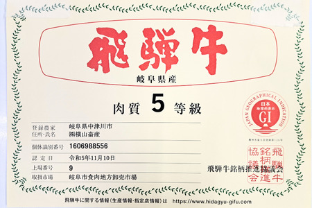 A5飛騨牛　スネ肉　500g