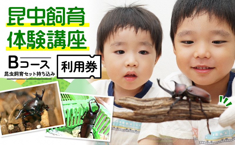 
【幼児～小学生対象】昆虫飼育体験講座Bコース（昆虫・飼育セット各自お持ち込み＜体験：9月～12月の各日曜日＞）ご利用券（1名様） [№5299-0131]
