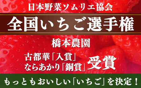 【セット】奈良県西吉野産 大和なでし苺 古都華・ならあかり2箱食べ比べセット | フルーツ くだもの 果物 いちご イチゴ 大和なでし苺 ことか コトカ 古都華 奈良県 五條市