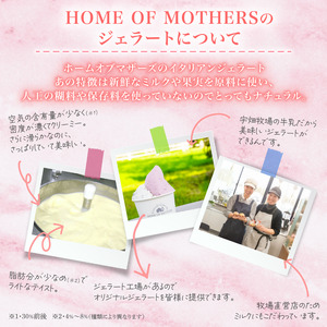 ジェラート 8個 ( プレミアム ジェラート2個入・4種以上入アソート)アイス おまかせ 牧場直営 イタリアンジェラート アイスクリーム  ミルク 牧場 スイーツ デザート 贈答 プレゼント 贈り物