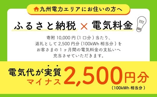 Z6 みやま市産 CO2 フリーでんき （2,500円×10ヶ月分） 電気料金 電気代 電力 エネルギー 節約 福岡県 みやま市