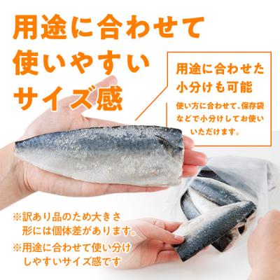 ふるさと納税 佐伯市 <訳あり・不揃い> 塩鯖 フィーレ (計2kg・1kg×2袋) |  | 01