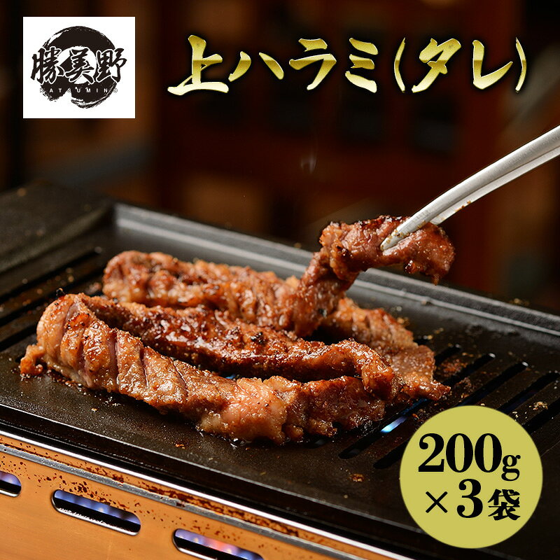 【ふるさと納税】焼肉 勝美野のホルモン 200g×3袋 上ハラミ タレ 自家製だれ 秘伝のたれ 下処理済み 柔らか 肉質 甘み 醤油ベース 浜松市 静岡 お取り寄せ グルメ
