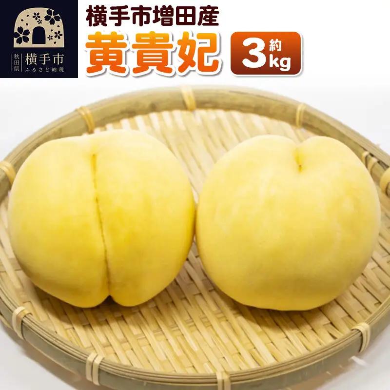 【先行受付】9月上旬より発送 横手市増田産の桃（黄貴妃）約3kg