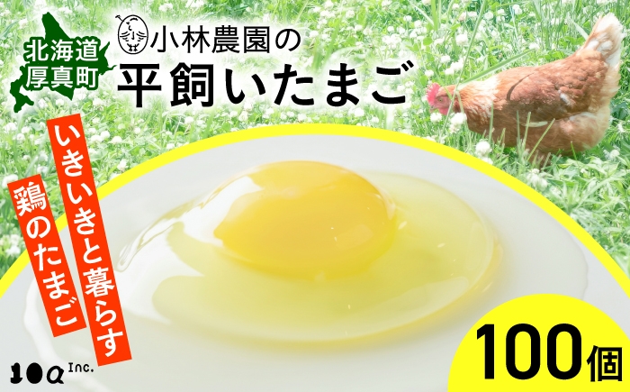 
                  小林農園の平飼いたまご・無投薬 100個《厚真町》【テンアール株式会社】 有精卵 卵 鶏卵 玉子 生卵 平飼い 北海道 [AXAN035]
                