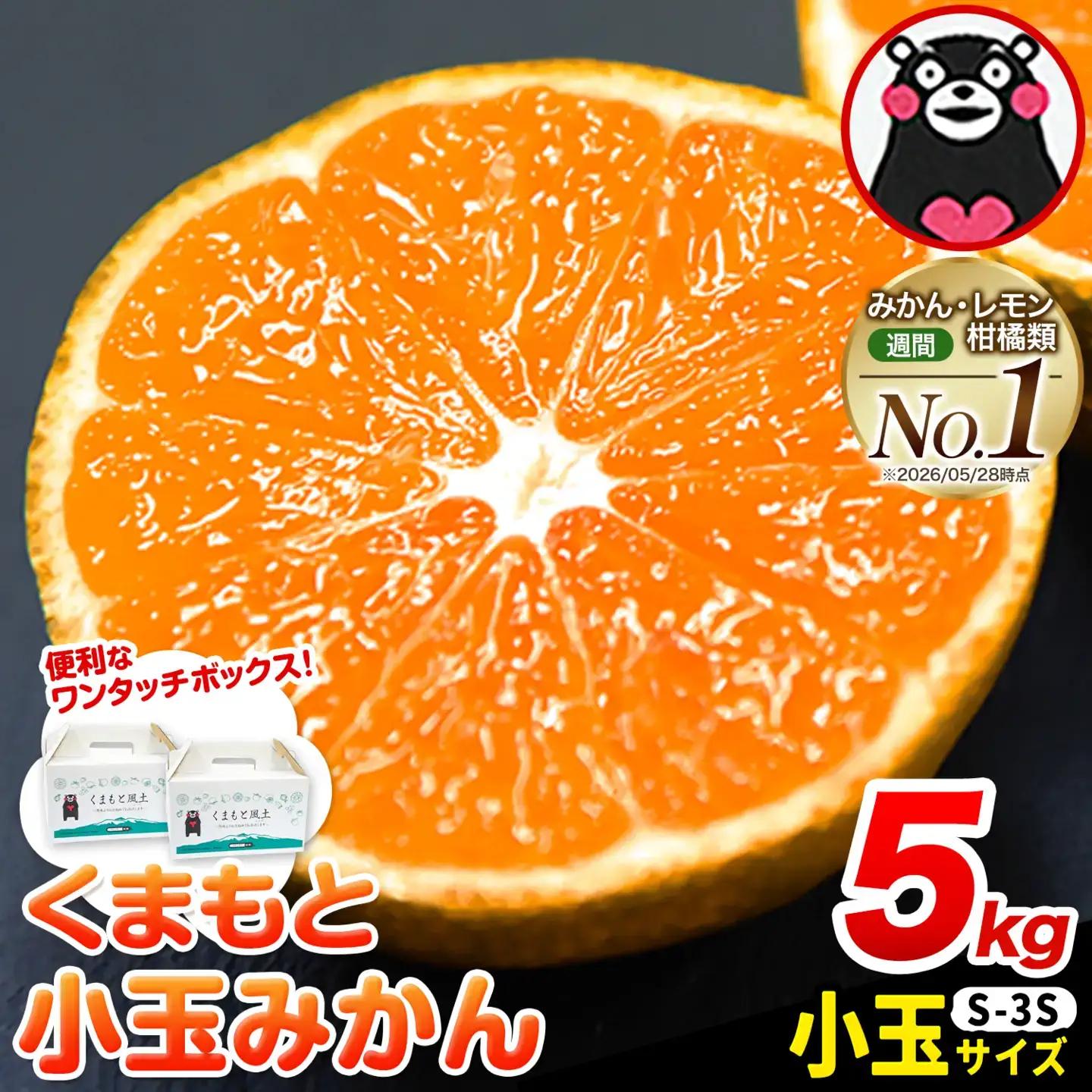 ご家庭用 訳あり くまもと小玉みかん 約5kg(2.5kg×2箱) 熊本県産 S-3Sサイズ 熊本県産 期間限定 フルーツ 秋 旬 柑橘 小玉 みかん 長洲町《30日以内に順次出荷(土日祝除く)》
