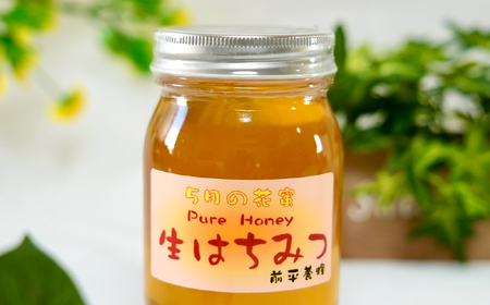 【国産】生はちみつ ハチミツ 蜂蜜 非加熱 600g C301-x