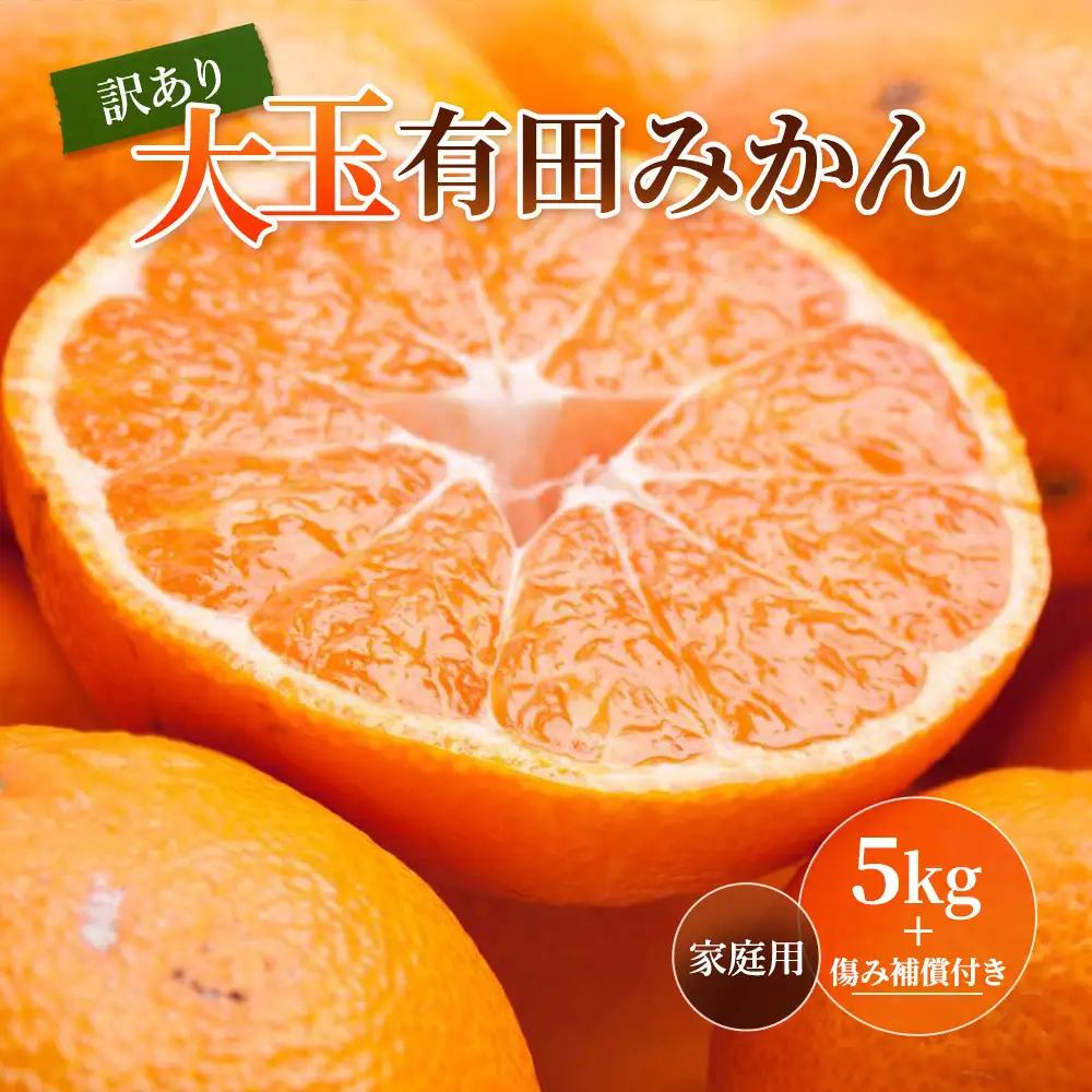 ［先行予約］家庭用 大きな有田みかん5kg+250g（傷み補償分）［2026年11月中旬から2027年1月末日頃、順次発送予定］［IKE244］
