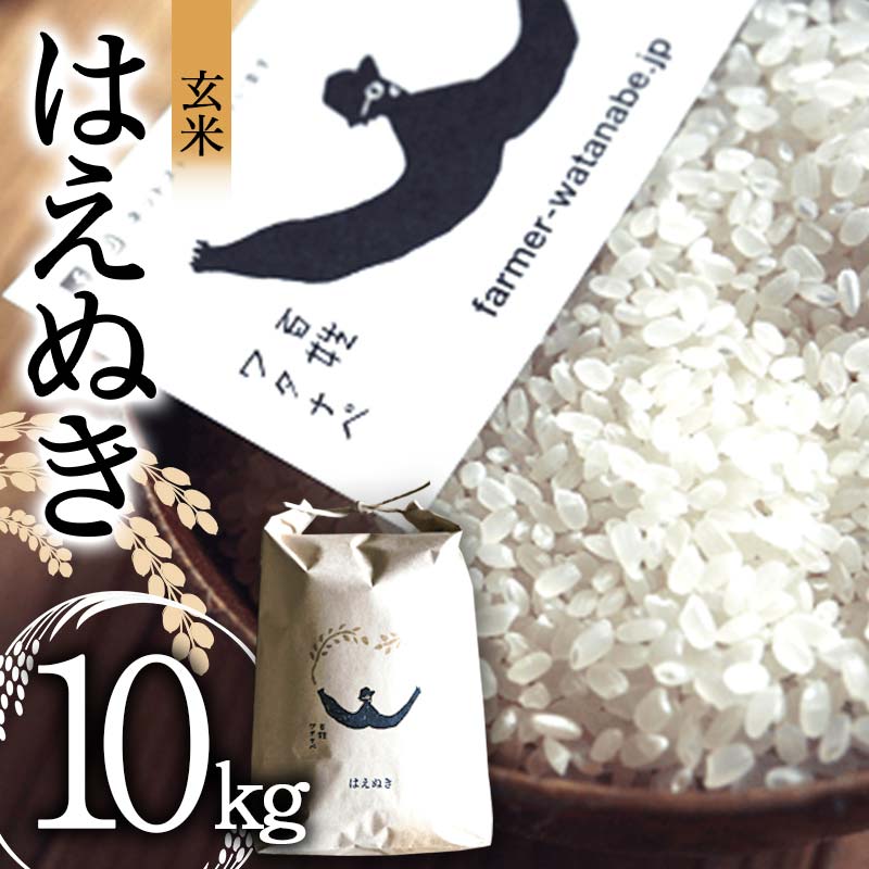 【ふるさと納税】 令和7年産 はえぬき (玄米) 10kg 『最上園』 米 ご飯 農家直送 山形県 南陽市 [2180]