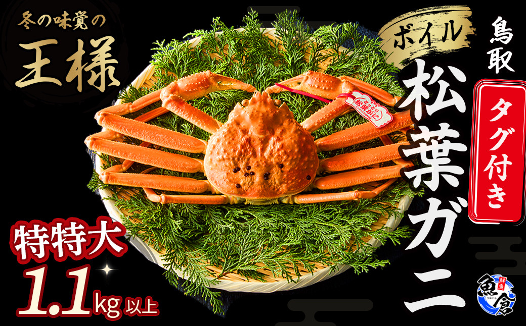 
            【先行予約】【魚倉】タグ付きボイル松葉ガニ（特特大1.1kg以上）冷蔵 カニ ボイル 松葉ガニ タグ付き 新鮮 カニ爪 ズワイガニ ずわいがに 期間限定 国産 鳥取県 倉吉市
          