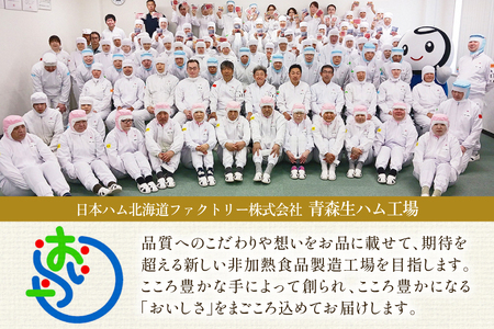 乾燥させた 生ハム 40g 20袋 [日本ハムマーケティング 青森県 おいらせ町 oi02ayo820022]