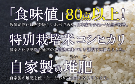 【先行予約】【3ヶ月連続お届け】【令和8年産 新米】南条米 特別栽培米コシヒカリ 真空パック 精米 10kg(5kg×2袋)×3ヶ月 (計30kg)[G-011001] 福井 ブランド米