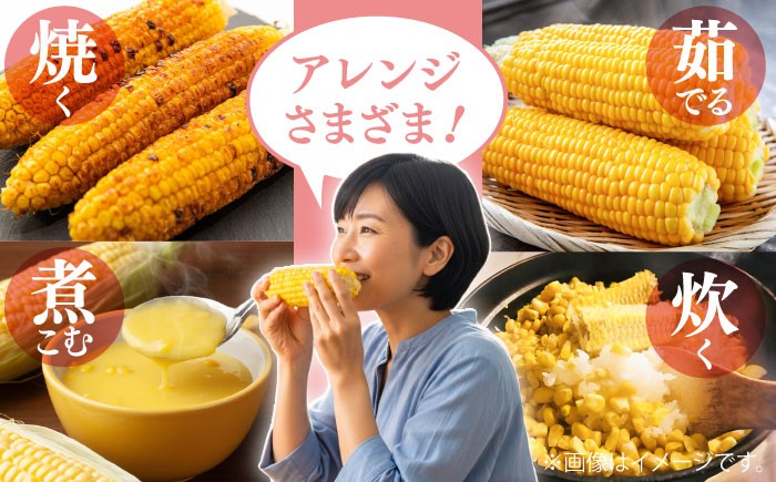 とうもろこし スイートコーン(プレミアム味来) 約4kg（10～11本）