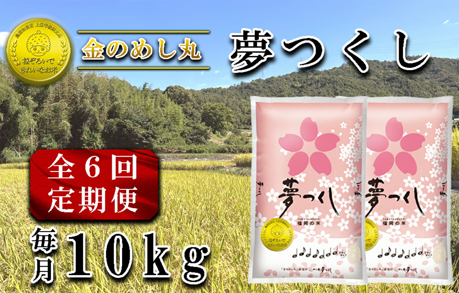 【ふるさと納税】【定期便6回】令和7年米　金のめし丸夢つくし　10kg（5kg×2袋）を6回お届け（計60kg）_CE-096