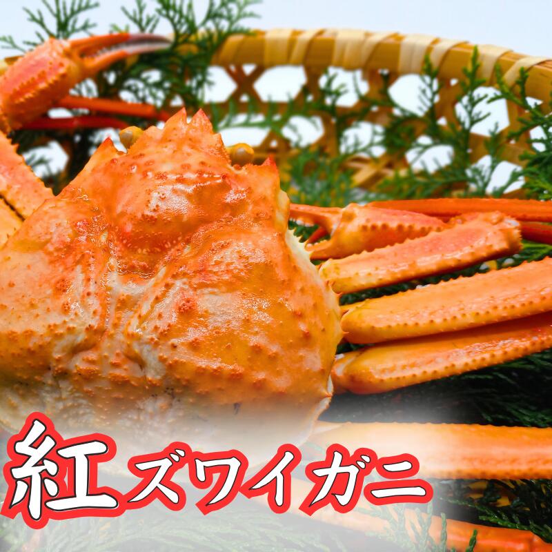 【ふるさと納税】紅ズワイガニ　ボイル1～2枚｜鳥取 岩美 紅ずわいがに かに 蟹