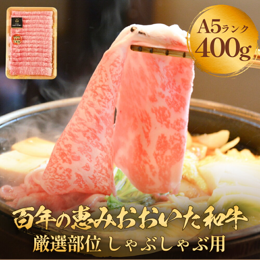 【ふるさと納税】 おおいた和牛 百年の恵み しゃぶしゃぶ 400g〜800g おおいた和牛 黒毛和牛 A5 等級 しゃぶしゃぶ用 牛肉 ロース 肩ロース もも 肩 部位 霜降り 血統 風味 脂肪 産地 九州 大分 肉 食材 グルメ 豊後牛