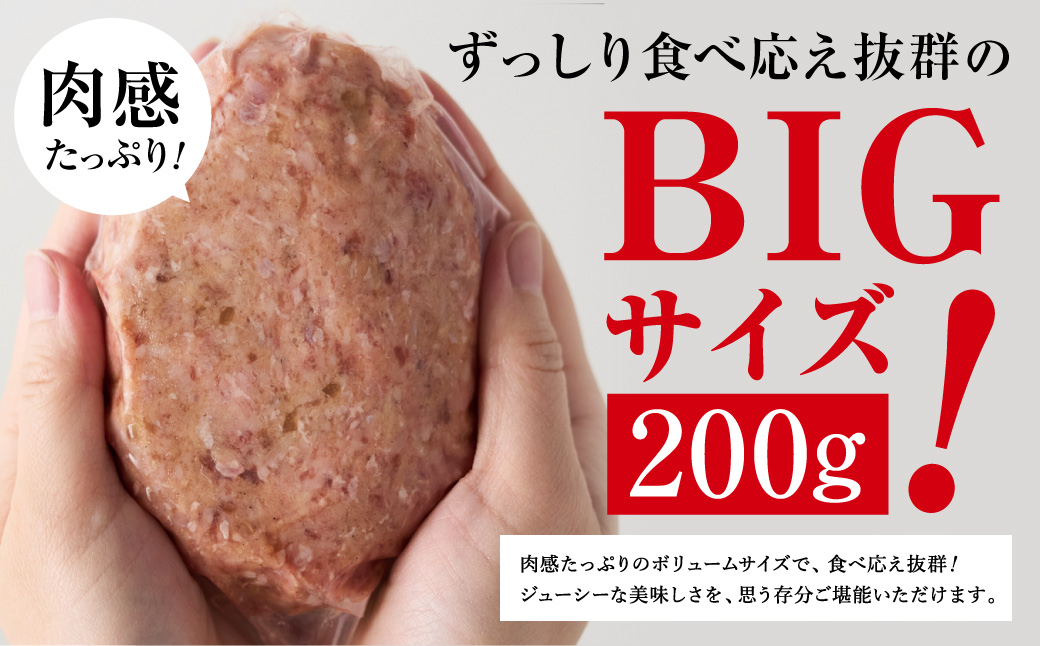 黒毛和牛使用！ 200gのBIG手作りハンバーグ 200g×5個 （計1kg） ／ 黒毛和牛 黒毛和種 和牛 国産牛 牛肉 お肉 肉 大阪府 阪南市 冷凍