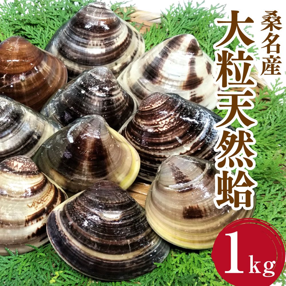 マルヨシ水産　桑名産大粒天然蛤　1kg