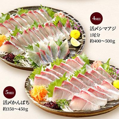 ふるさと納税 延岡市 【毎月定期便】【ふるさと納税】活〆鮮魚のお刺身全6回 |  | 03