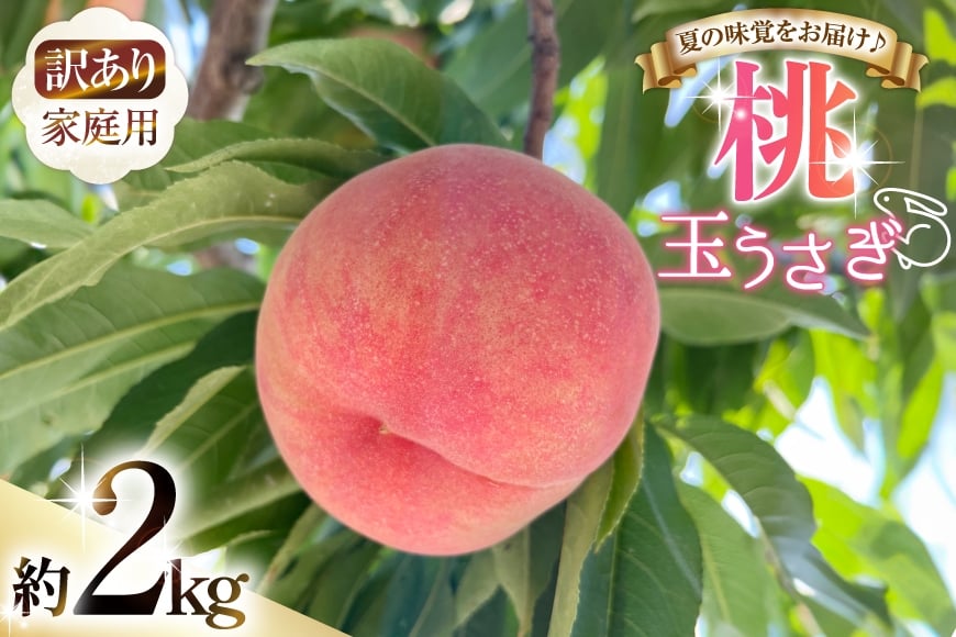 
                  【期間限定発送】 訳あり 家庭用 桃 玉うさぎ 2kg [東城農園 山形県 高畠町 tk06ayt370004] もも モモ 果物 くだもの フルーツ 冷蔵
                