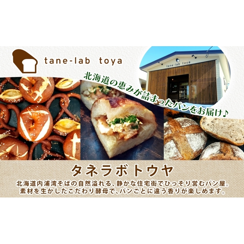 厚焼き フォカッチャ オリーブオイル×塩 1ホール パン 北海道産 小麦 自家製酵母 惣菜パン 菓子パン 朝食 軽食 手づくり 自家製 酵母 ベーカリー オリーブオイル 塩 冷凍 北海道 洞爺湖町_イ