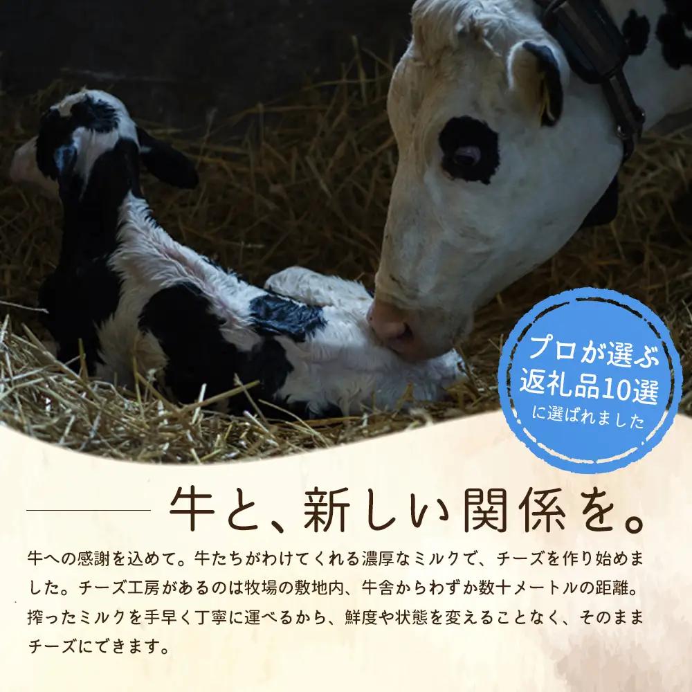 竹下牧場 takeshita farm【12ヶ月配送】マリボーチーズセット計510g【2402701】