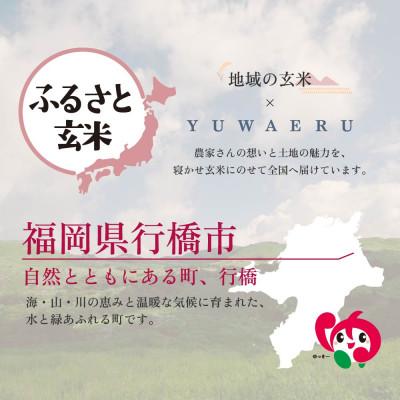 ふるさと納税 行橋市 【ふるさと玄米】寝かせ玄米ごはんパック 福岡県行橋市産【160g×24食セット】(行橋市) |  | 02