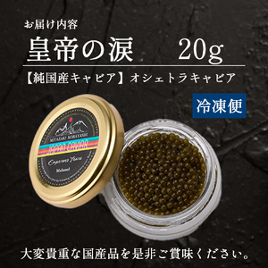 キャビア 【純国産キャビア】皇帝の涙 オシェトラキャビア 20g 