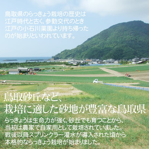 【1632】老舗漬物屋さんが作った 砂丘らっきょう漬け4種セット 鳥取県産