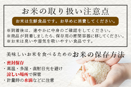 【令和7年度産 新米】球磨産 くまさんの輝き 精米 10kg(5kg×2) 白米 お米 こめ ライス 米 新米 熊本県 多良木町 036-0204 10kg(5kg×2)