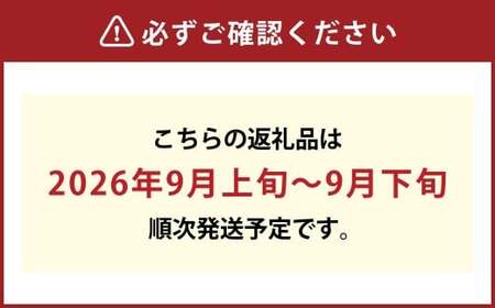 桃太郎ぶどう 1房（約500g）果物 ぶどう フルーツ スッキリ 種なし 大粒 人気 皮ごと 美味しい【2026年9月上旬～9月下旬発送予定】