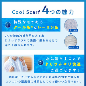 クール糸(R)使用の涼感パイルマフラー同色2枚セット CLOP-100【無地】【011E-029】