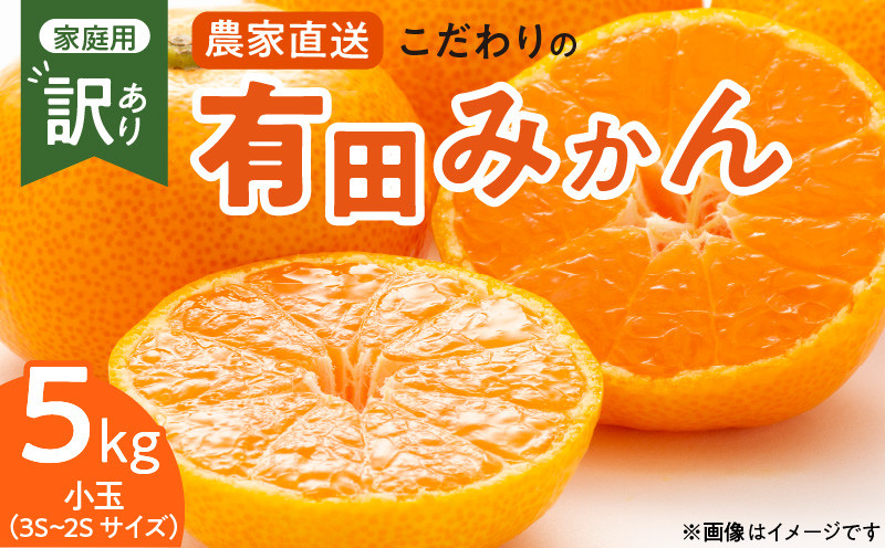 
            ZT6232n_【2025年先行予約】こだわりの 有田みかん 小玉 5kg (2S～3Sサイズ)【訳あり 家庭用】
          